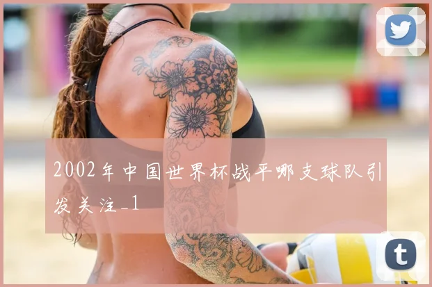 2002年中国世界杯战平哪支球队引发关注_1